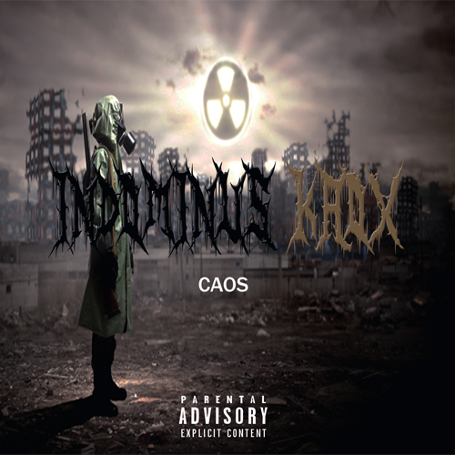 Professional da Crise